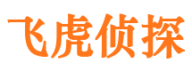 新泰私家侦探公司